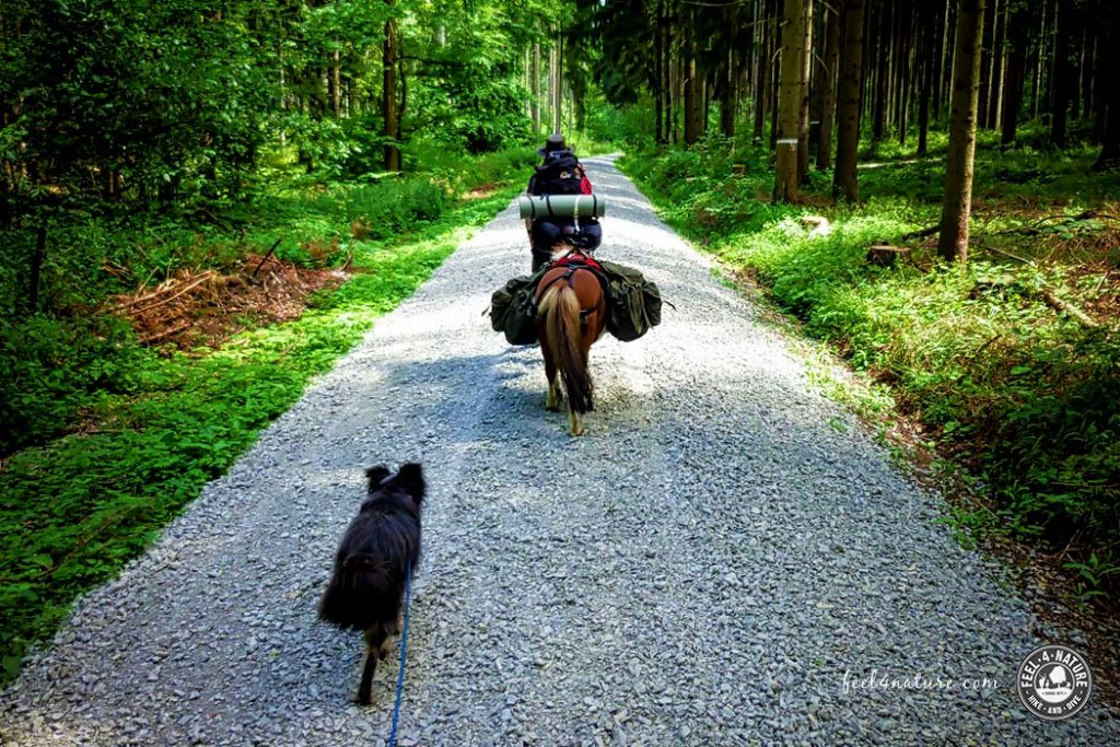 Verwander.de - Wandern mit Hund & Pferd