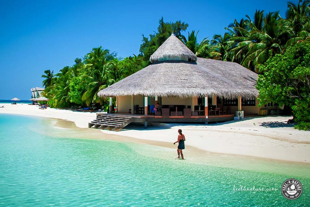 Dive & Sail - Ellaidhoo Malediven