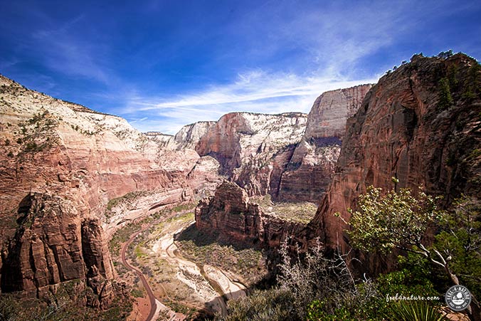 Zion Nationalpark Canyon