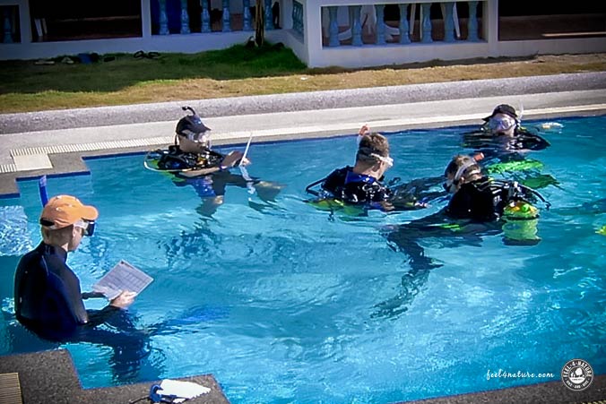 Tauchlehrer Poolausbildung