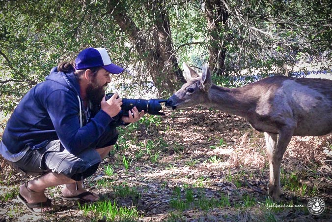 Outdoor Fotografie Tiere