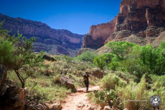 Bright Angel Trail - Grand Canyon