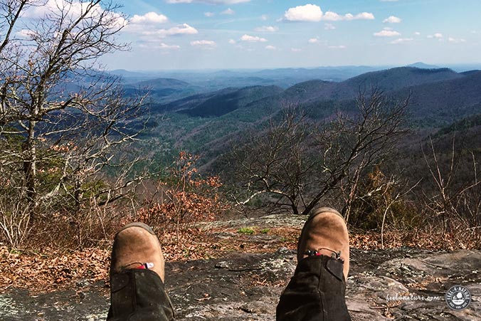 Appalachian Trail Pause