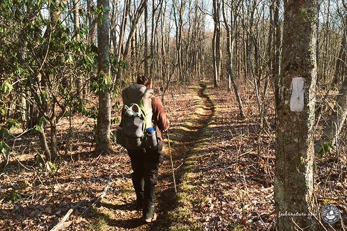 Appalachian Trail Wanderweg