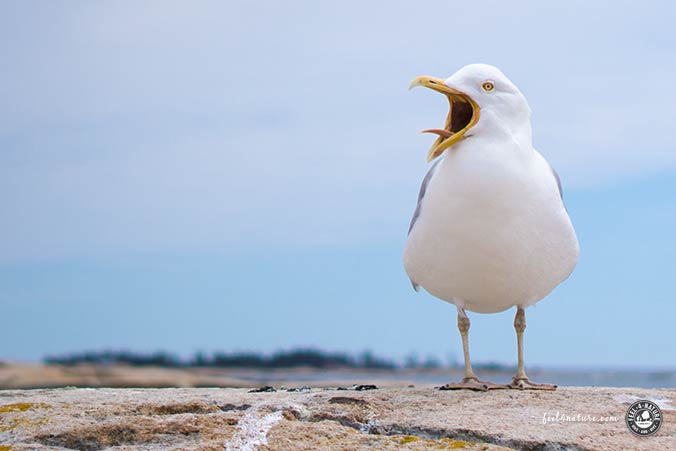 Fotografie Anfänger Analyse