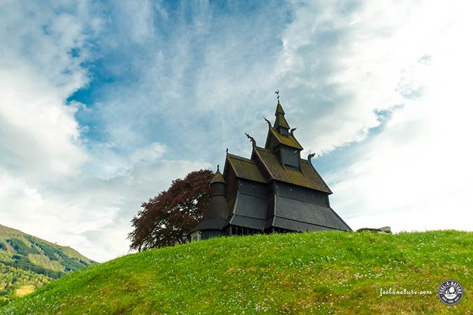 Fototipps Anfänger Perspektive