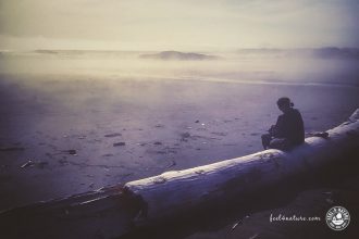 Vancouver Island Reisetipps