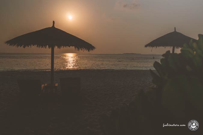 Reethi Beach Sunset