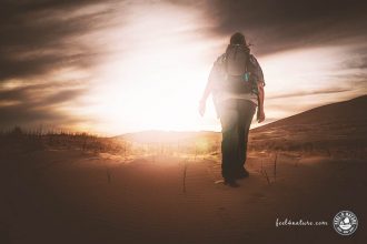 Mojave National Preserve Wandern