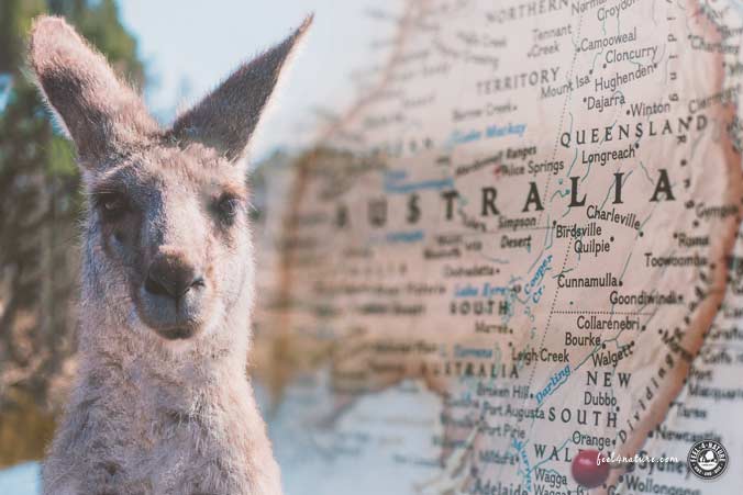 Australien Touristenvisum