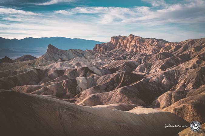 Death Valley Gower Gulch