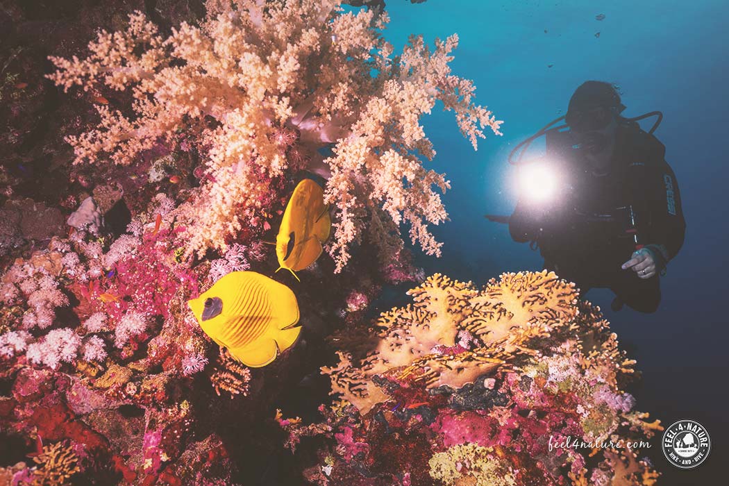 Unterwassertaschenlampe und Outdoor-Aktivitäten L2 1300 Lumen Helle Tauchlampe mit LED-Licht für Unterwasser 