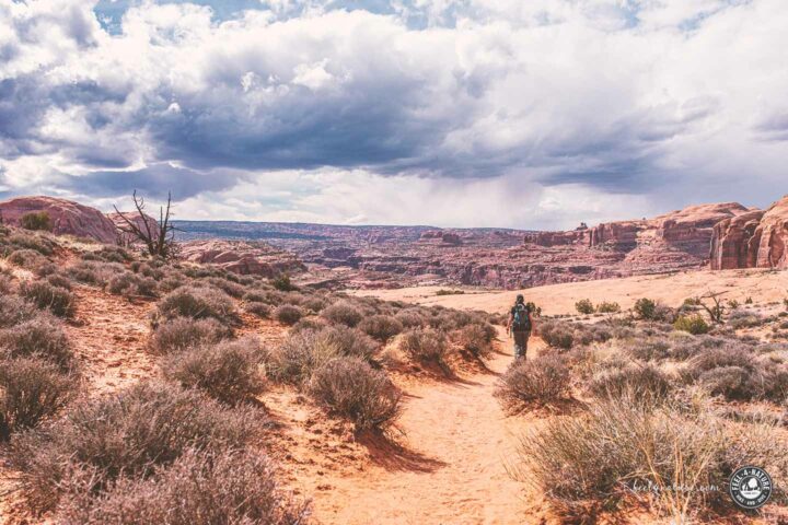 Wandern bei Moab am Canyonlands National Park