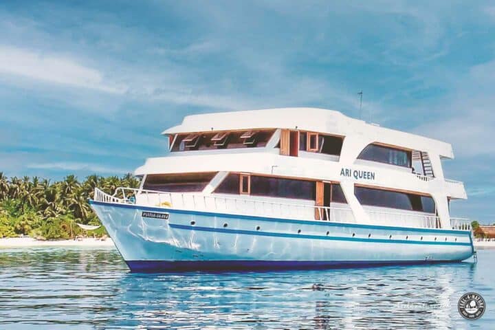 Tauchboot Malediven Ari Queen