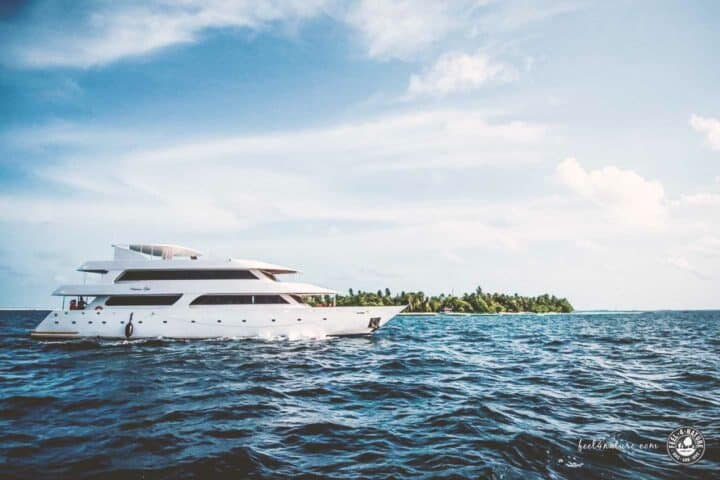 Tauchkreuzfahrt Malediven Princess Rani