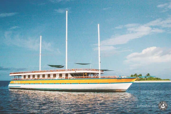 Tauchschiff Malediven Nautilus Two