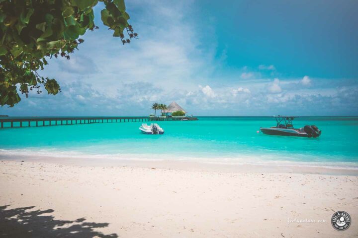 Kandima Malediven Urlaub