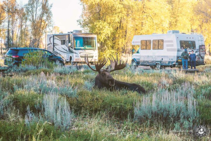 USA Wohnmobil Camping