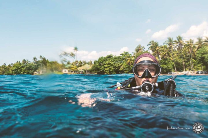 Bali Villa Tauchen Erfahrungen