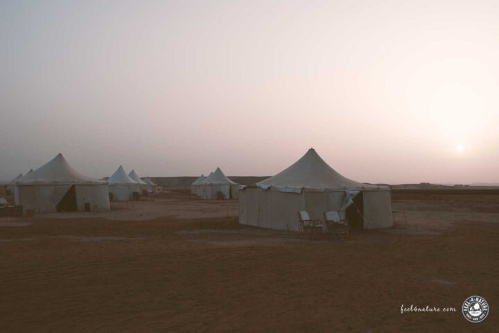 Einfache Beduinenzelte beim Sonnenuntergang in einem Tauchercamp in Ägypten.