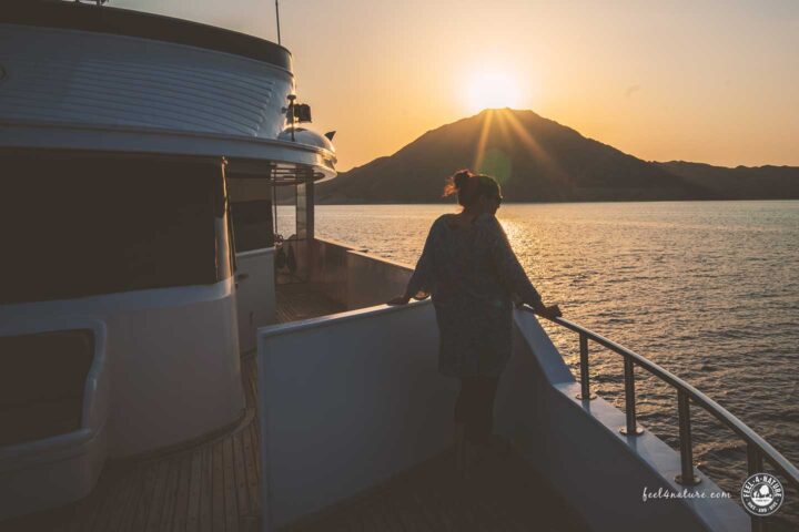 Frau mit Sonnebrille auf einem Tauchboot beim Sonnenuntergang.
