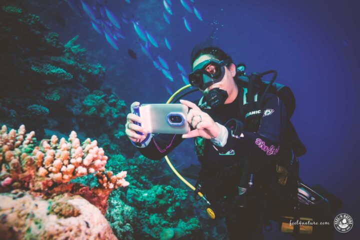 Taucherin macht am Riff ein Foto mit iPhone UW Gehäuse.