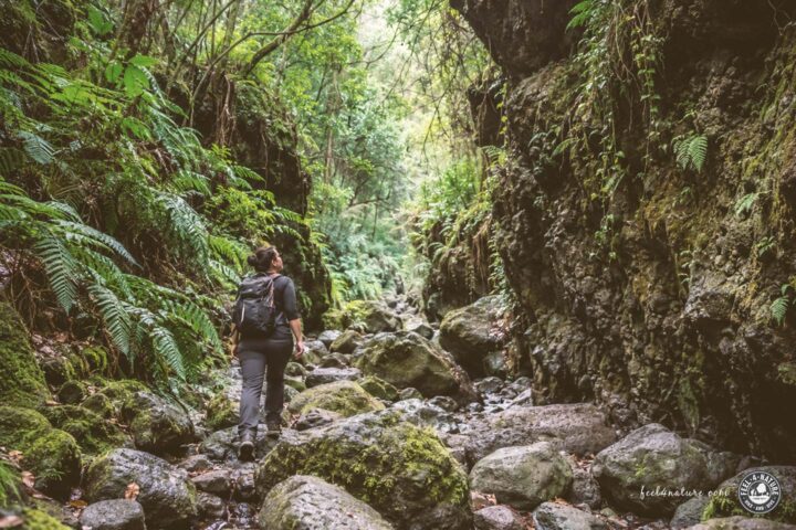 Frau wandert durch einen grünen Canyon auf La Palma.